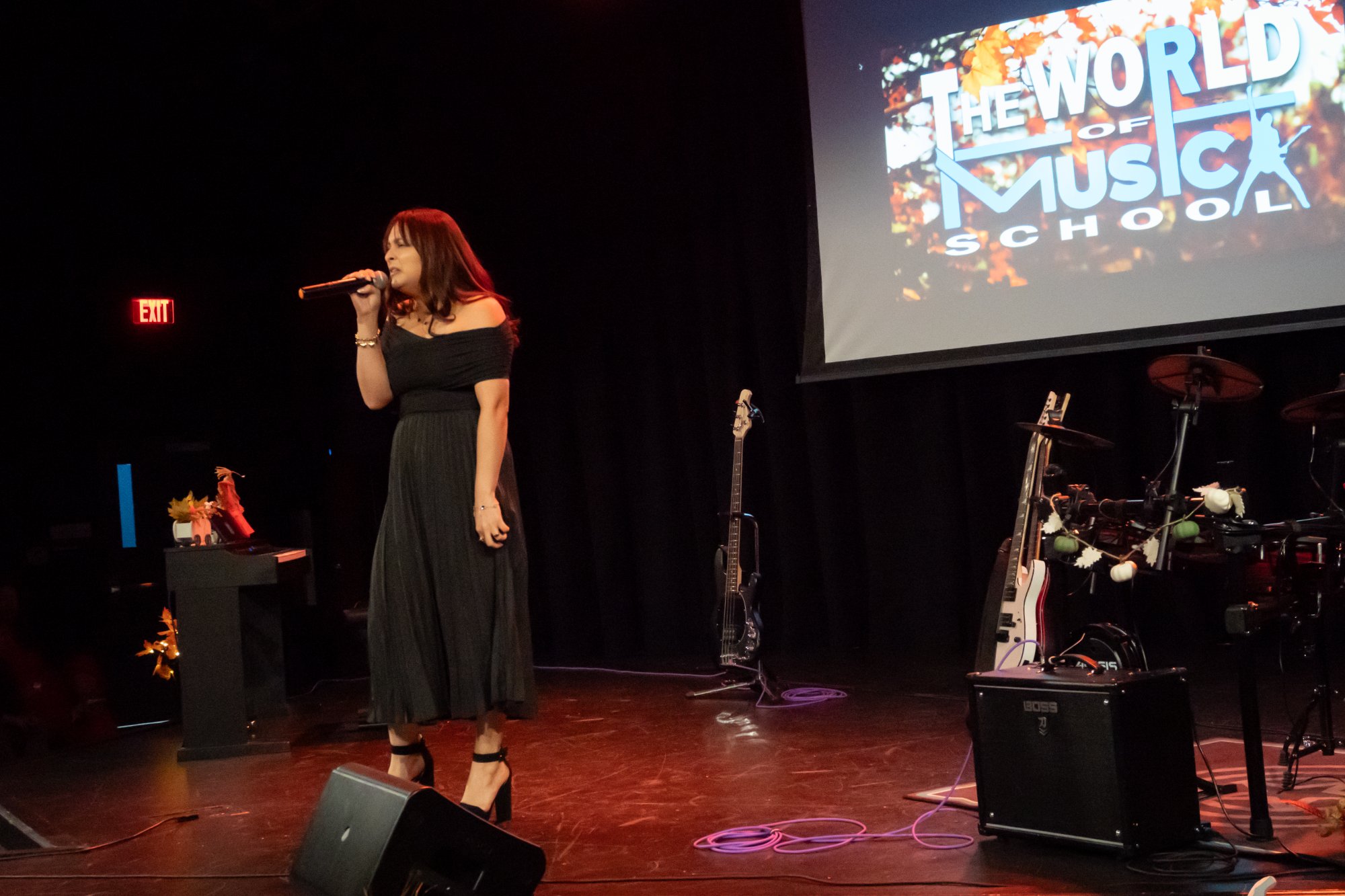 Vocalist performing full stage view